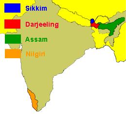 Indiska tedistrikt